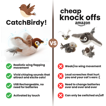 The Official - CatchBirdy!