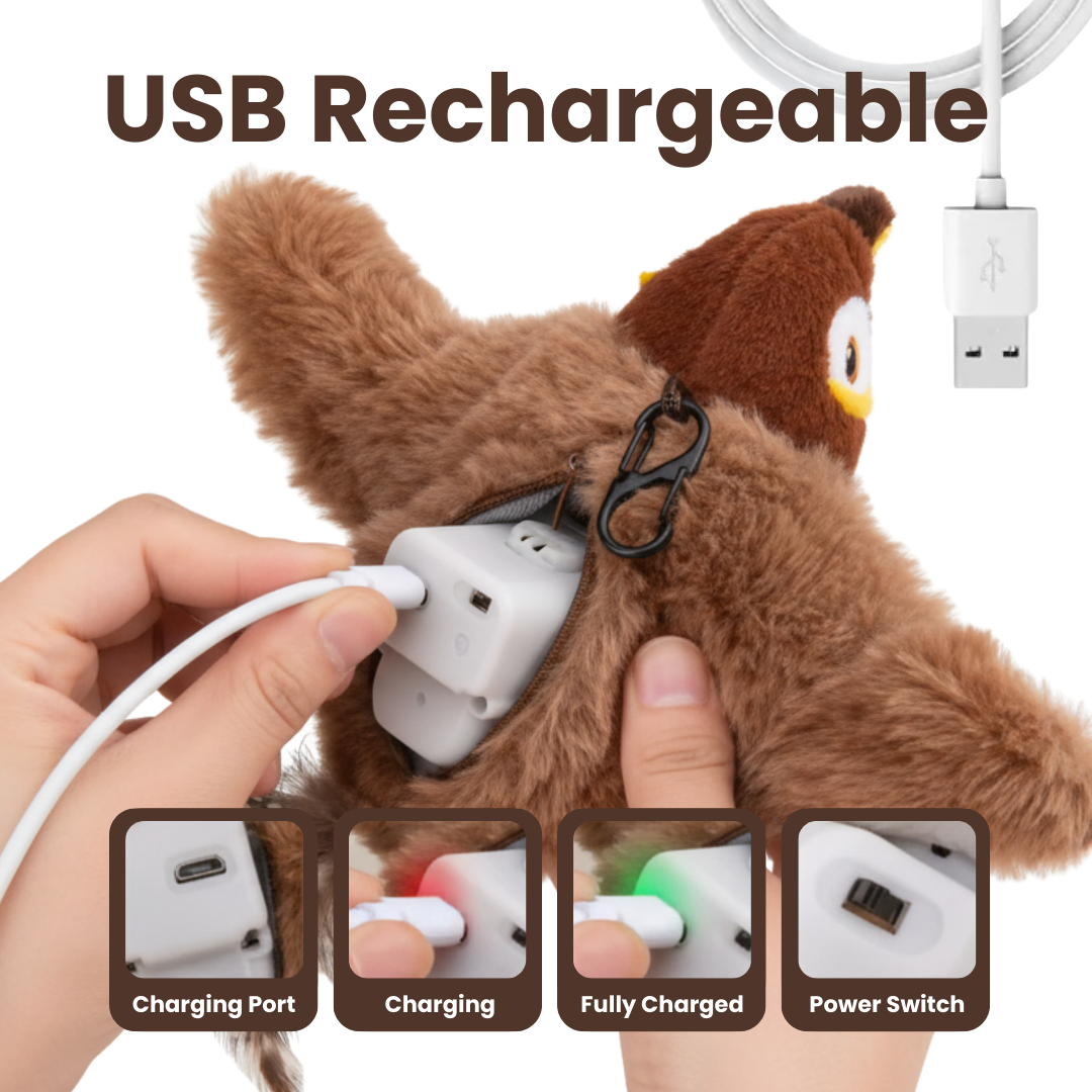 The Official - CatchBirdy!